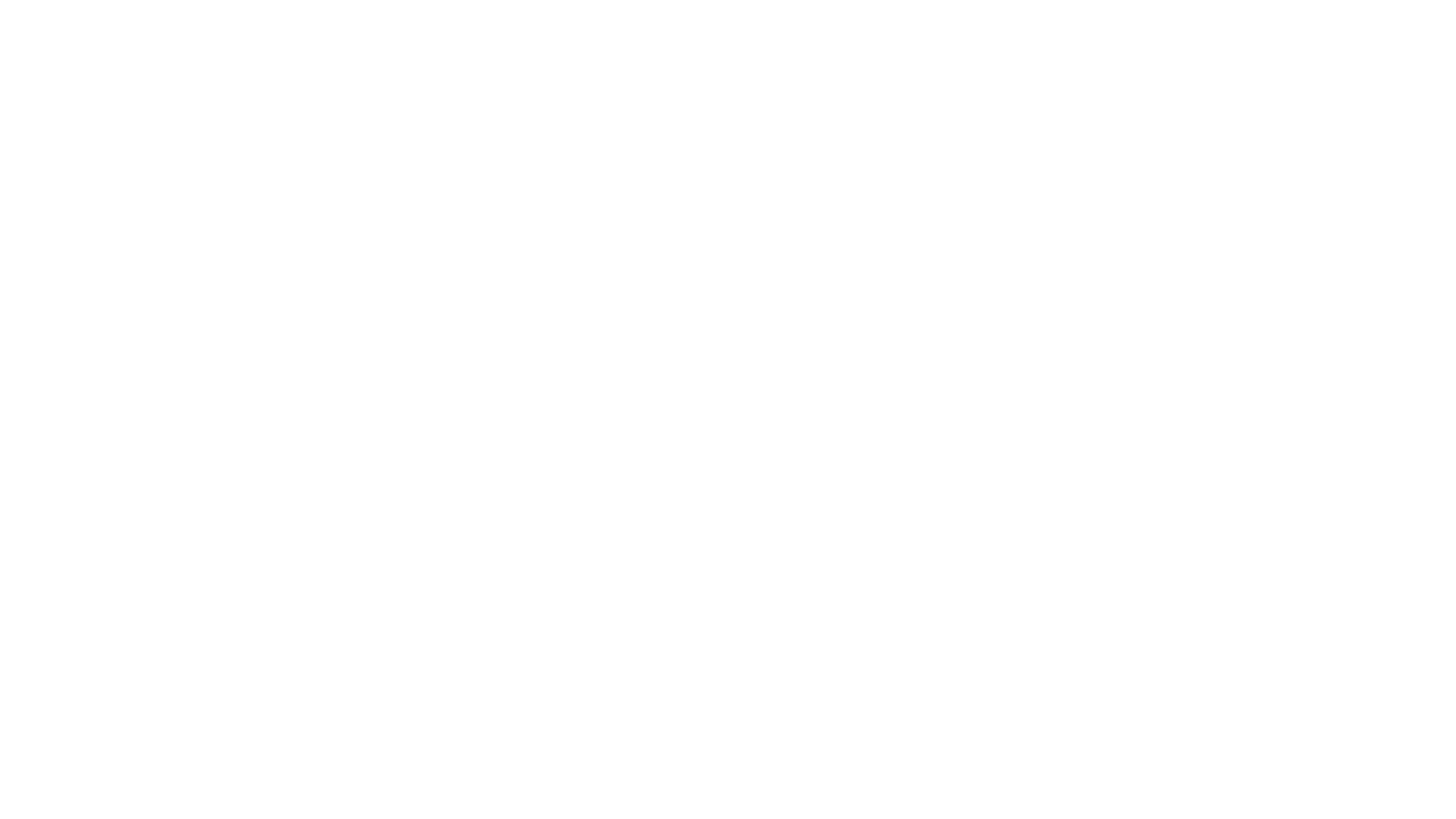 trustbutverifyinc.com